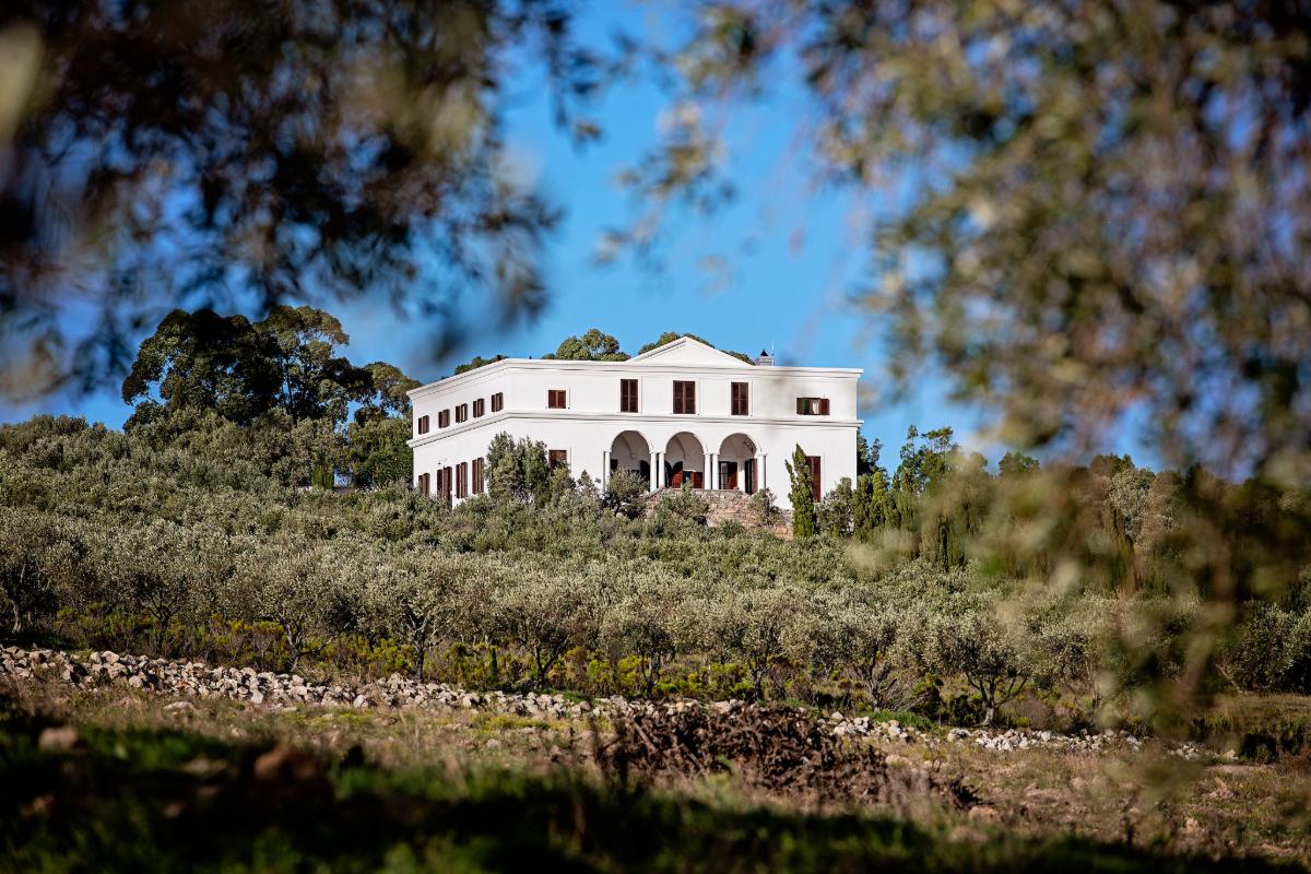 Producer Profile: Hamilton Russell Vineyards